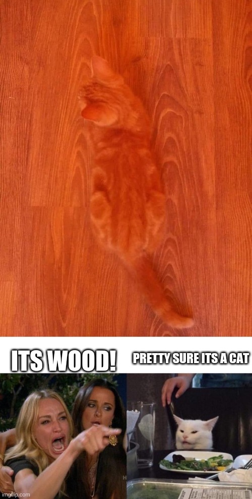 ITS WOOD! PRETTY SURE ITS A CAT | image tagged in memes,woman yelling at cat | made w/ Imgflip meme maker