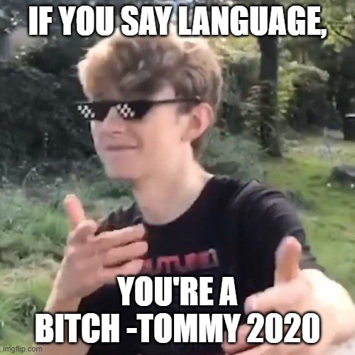 TI Responding to bad's languaging | IF YOU SAY LANGUAGE, YOU'RE A BITCH -TOMMY 2020 | image tagged in tommyinnit | made w/ Imgflip meme maker