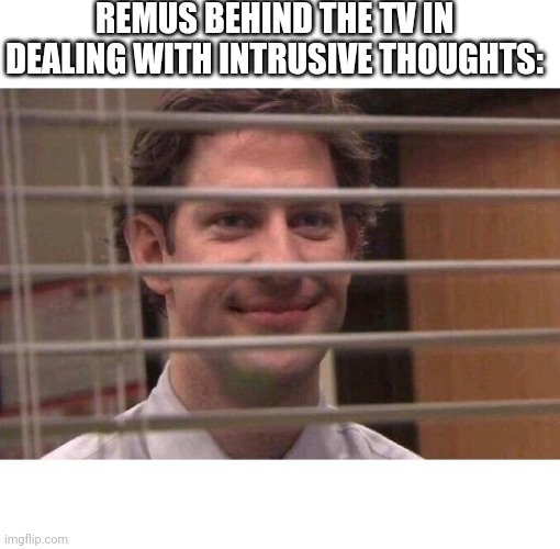 Jim Office Blinds | REMUS BEHIND THE TV IN DEALING WITH INTRUSIVE THOUGHTS: | image tagged in jim office blinds | made w/ Imgflip meme maker
