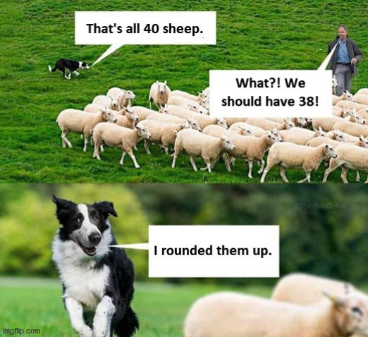 Round Up | image tagged in haiku,sheep,dog,counting,bad pun | made w/ Imgflip meme maker