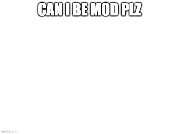 PLEASE | CAN I BE MOD PLZ | image tagged in blank white template | made w/ Imgflip meme maker