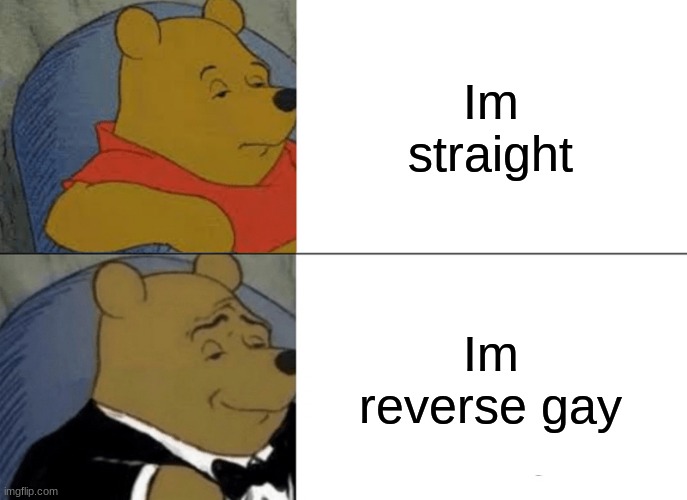 Tuxedo Winnie The Pooh Meme | Im straight; Im reverse gay | image tagged in memes,tuxedo winnie the pooh,gay,okay | made w/ Imgflip meme maker