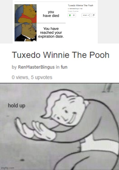 Hold ummm What? | image tagged in fallout hold up | made w/ Imgflip meme maker