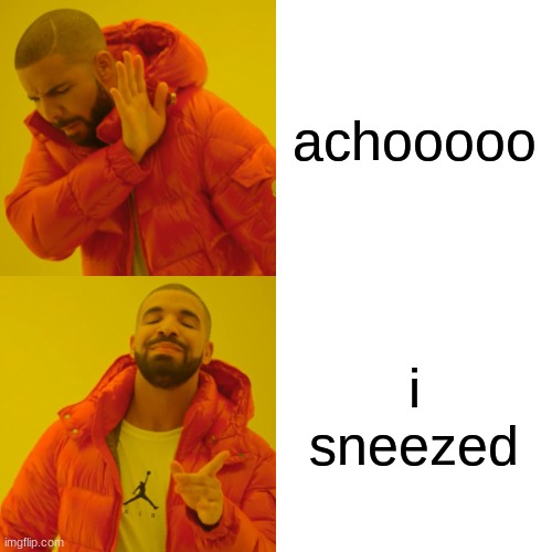 Drake Hotline Bling | achooooo; i sneezed | image tagged in memes,drake hotline bling | made w/ Imgflip meme maker