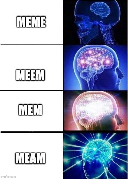 Expanding Brain Meme | MEME; MEEM; MEM; MEAM | image tagged in memes,expanding brain | made w/ Imgflip meme maker