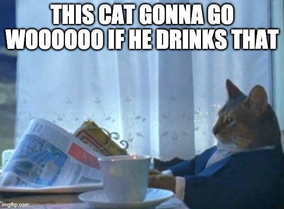 I Should Buy A Boat Cat | THIS CAT GONNA GO WOOOOOO IF HE DRINKS THAT | image tagged in memes,i should buy a boat cat | made w/ Imgflip meme maker