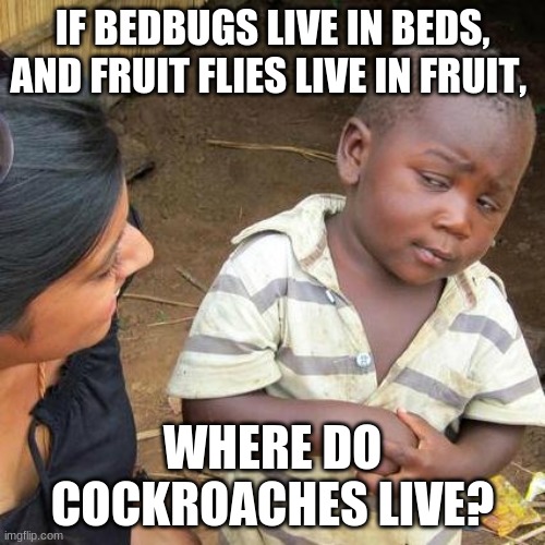 Third World Skeptical Kid Meme | IF BEDBUGS LIVE IN BEDS, AND FRUIT FLIES LIVE IN FRUIT, WHERE DO COCKROACHES LIVE? | image tagged in memes,third world skeptical kid | made w/ Imgflip meme maker