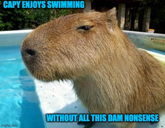 Side Eye Capybara | CAPY ENJOYS SWIMMING WITHOUT ALL THIS DAM NONSENSE | image tagged in side eye capybara | made w/ Imgflip meme maker
