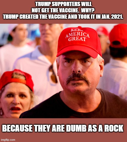 Trump Supporters Are So Stupid They Don't Even Follow What Trump Does | TRUMP SUPPORTERS WILL NOT GET THE VACCINE.  WHY? 
TRUMP CREATED THE VACCINE AND TOOK IT IN JAN. 2021. BECAUSE THEY ARE DUMB AS A ROCK | image tagged in covid-19,covidiots,dumb as a rock | made w/ Imgflip meme maker