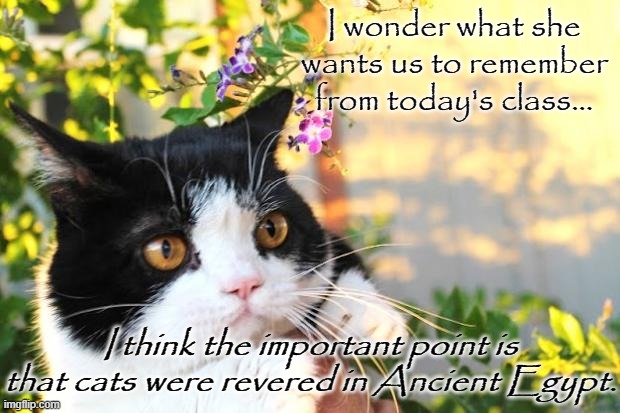 I Wonder... | I wonder what she wants us to remember from today's class... I think the important point is that cats were revered in Ancient Egypt. | image tagged in i wonder | made w/ Imgflip meme maker
