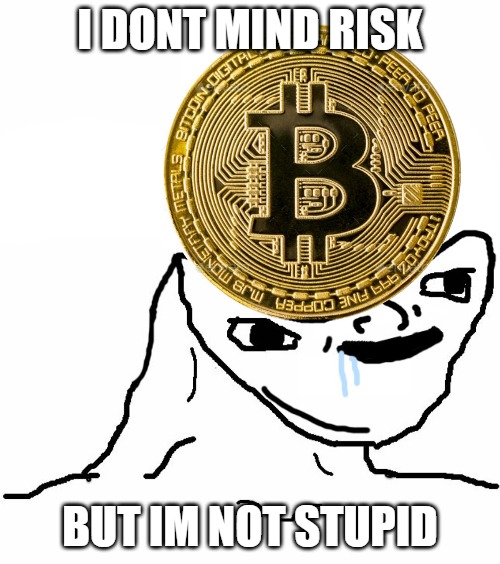 BTC Investor | I DONT MIND RISK; BUT IM NOT STUPID | image tagged in btc,cryptocurrency,crypto,money | made w/ Imgflip meme maker