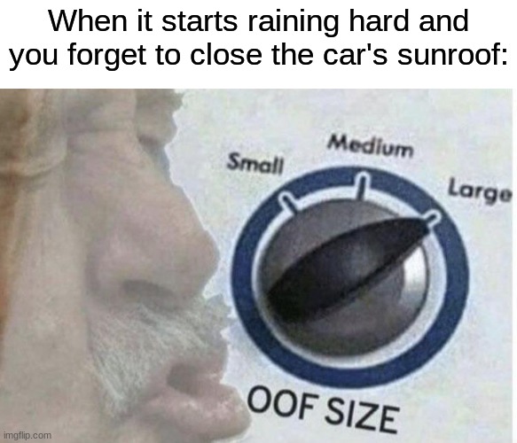 imagine that | When it starts raining hard and you forget to close the car's sunroof: | image tagged in oof size large,cars,automotive,car,vehicle,car memes | made w/ Imgflip meme maker