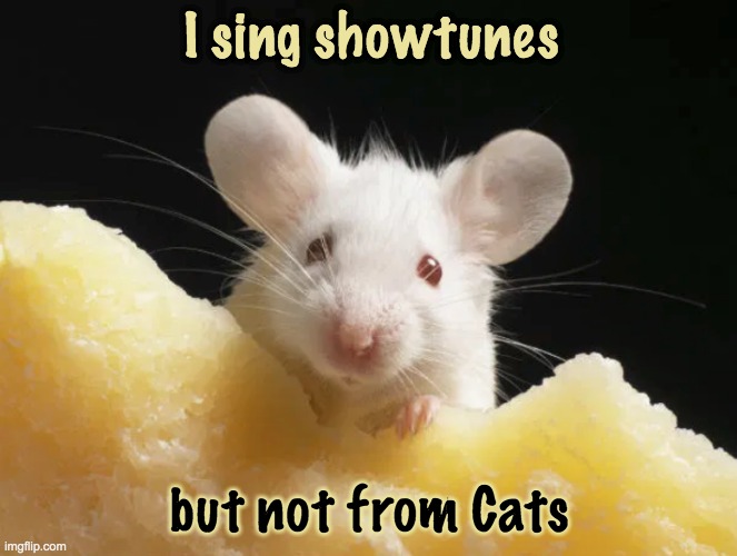 It turns out they sing (link in comments) | I sing showtunes; but not from Cats | image tagged in mice,rodents,talent,science,music | made w/ Imgflip meme maker