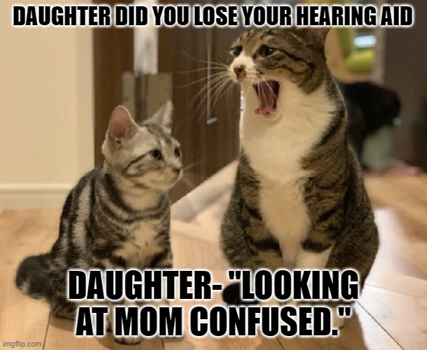 Deaf Culture | DAUGHTER DID YOU LOSE YOUR HEARING AID; DAUGHTER- "LOOKING AT MOM CONFUSED." | image tagged in hearing aids,cats,deaf | made w/ Imgflip meme maker