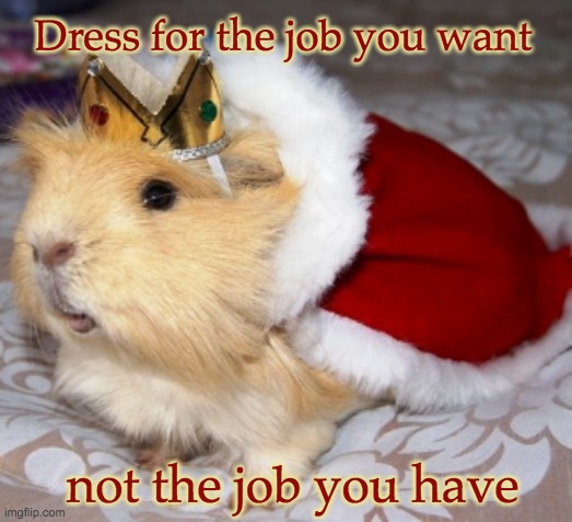 Dress for the job you want not the job you have | made w/ Imgflip meme maker