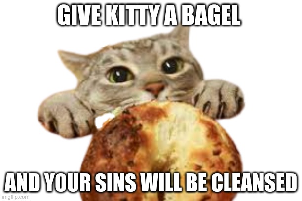 Cat want bagel | GIVE KITTY A BAGEL; AND YOUR SINS WILL BE CLEANSED | image tagged in cat want bagel | made w/ Imgflip meme maker