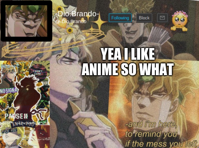 dio temp 2 | YEA I LIKE ANIME SO WHAT | image tagged in dio temp 2 | made w/ Imgflip meme maker