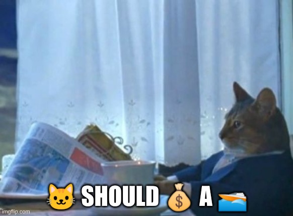 I Should Buy A Boat Cat Meme | 🐱 SHOULD 💰 A 🚤 | image tagged in memes,i should buy a boat cat | made w/ Imgflip meme maker