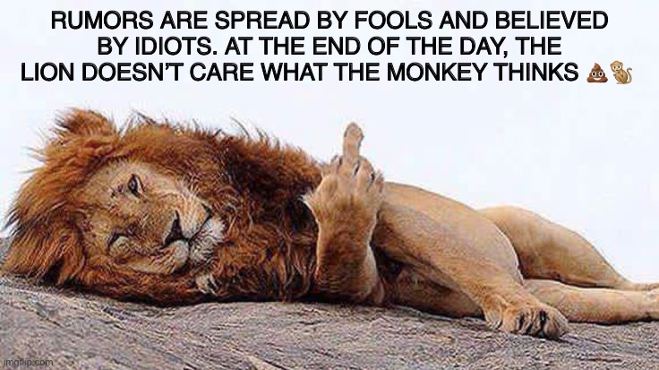 Kings VS Fools | RUMORS ARE SPREAD BY FOOLS AND BELIEVED BY IDIOTS. AT THE END OF THE DAY, THE LION DOESN’T CARE WHAT THE MONKEY THINKS 💩🐒 | image tagged in rumors,gossip,fools,idiots,lion king,lion | made w/ Imgflip meme maker