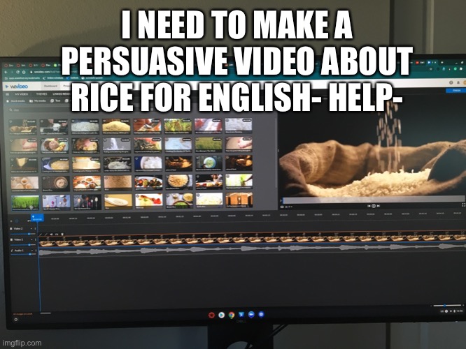 I NEED TO MAKE A PERSUASIVE VIDEO ABOUT RICE FOR ENGLISH- HELP- | made w/ Imgflip meme maker