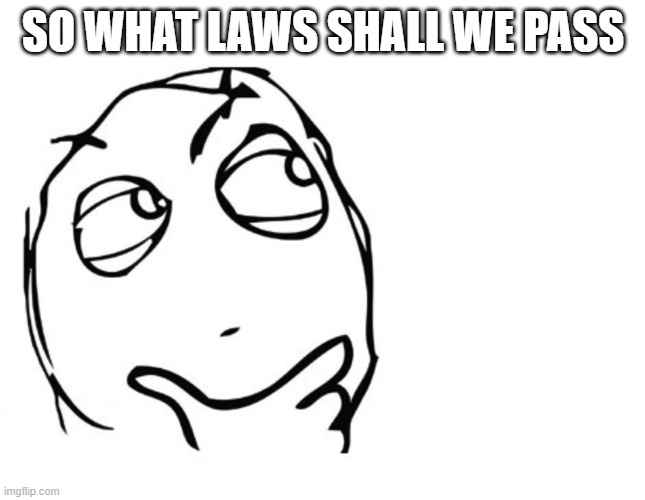 Can we do something law wise | SO WHAT LAWS SHALL WE PASS | image tagged in hmmm,laws | made w/ Imgflip meme maker