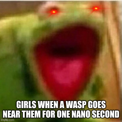 AHHHHHHHHHHHHH | GIRLS WHEN A WASP GOES NEAR THEM FOR ONE NANO SECOND | image tagged in ahhhhhhhhhhhhh | made w/ Imgflip meme maker