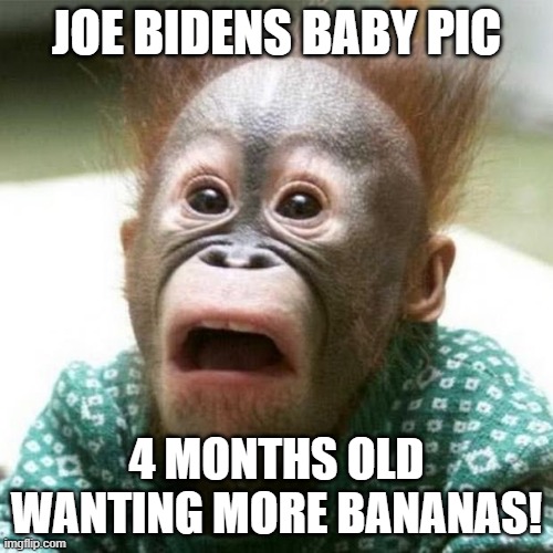 Shocked Monkey | JOE BIDENS BABY PIC; 4 MONTHS OLD WANTING MORE BANANAS! | image tagged in shocked monkey | made w/ Imgflip meme maker