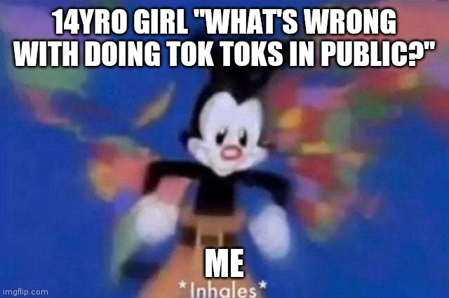 *inhales* | 14YRO GIRL "WHAT'S WRONG WITH DOING TOK TOKS IN PUBLIC?"; ME | image tagged in inhales | made w/ Imgflip meme maker