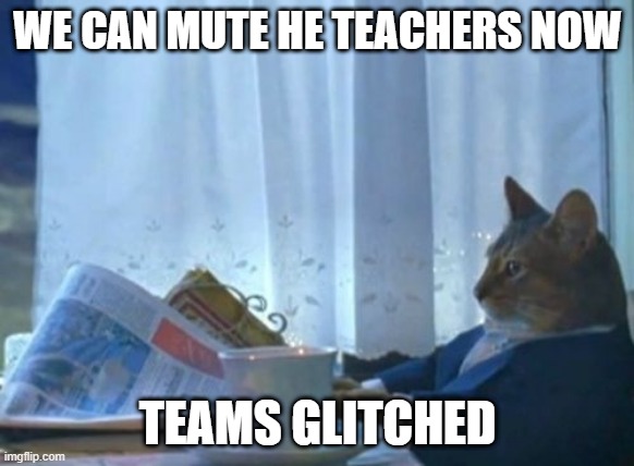 I Should Buy A Boat Cat | WE CAN MUTE HE TEACHERS NOW; TEAMS GLITCHED | image tagged in memes,i should buy a boat cat | made w/ Imgflip meme maker