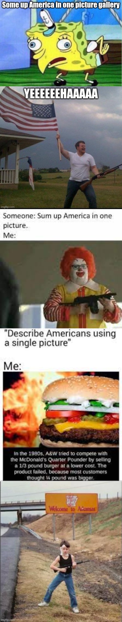 america in one picture meme gallery | Some up America in one picture gallery | image tagged in memes,mocking spongebob | made w/ Imgflip meme maker