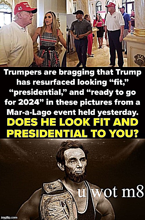 Abe Lincoln the WWF Champ is unimpressed | image tagged in u wot m8,trump,donald trump,trump is a moron,abe lincoln,abraham lincoln | made w/ Imgflip meme maker