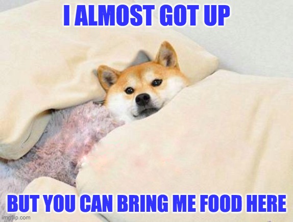 It's too cold to get up today | I ALMOST GOT UP; BUT YOU CAN BRING ME FOOD HERE | image tagged in oispa kaljaa,sleepy doge | made w/ Imgflip meme maker