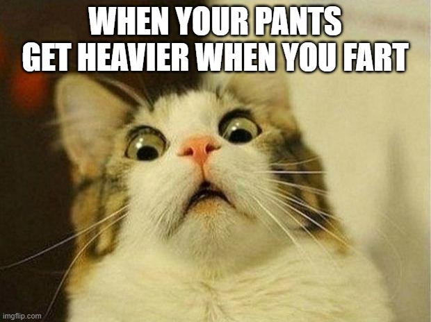 Scared Cat Meme | WHEN YOUR PANTS GET HEAVIER WHEN YOU FART | image tagged in memes,scared cat | made w/ Imgflip meme maker