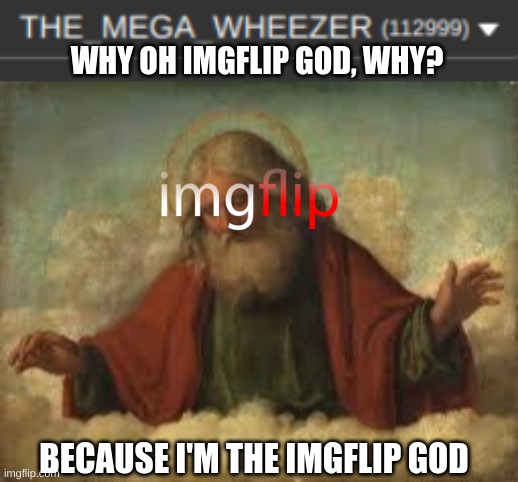 why oh mighty imgflip god, why? | WHY OH IMGFLIP GOD, WHY? BECAUSE I'M THE IMGFLIP GOD | image tagged in god,memes,imgflip | made w/ Imgflip meme maker