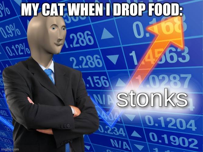 Free fuud fow me! Nom nom nom | MY CAT WHEN I DROP FOOD: | image tagged in stonks | made w/ Imgflip meme maker