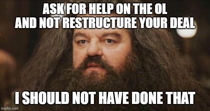 Hagrid | ASK FOR HELP ON THE OL AND NOT RESTRUCTURE YOUR DEAL; I SHOULD NOT HAVE DONE THAT | image tagged in hagrid | made w/ Imgflip meme maker