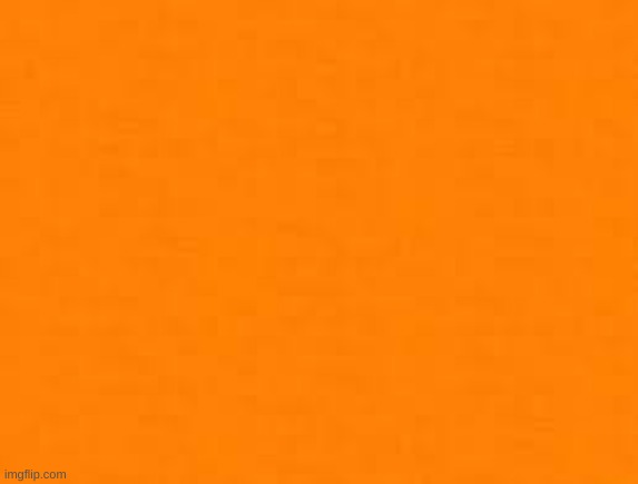 orange | image tagged in orange | made w/ Imgflip meme maker