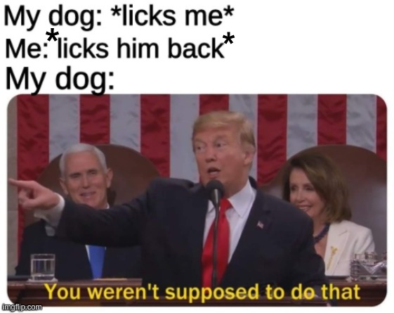  *; * | image tagged in donald trump,you weren't supposed to do that,dogs,funny,memes,mlem | made w/ Imgflip meme maker