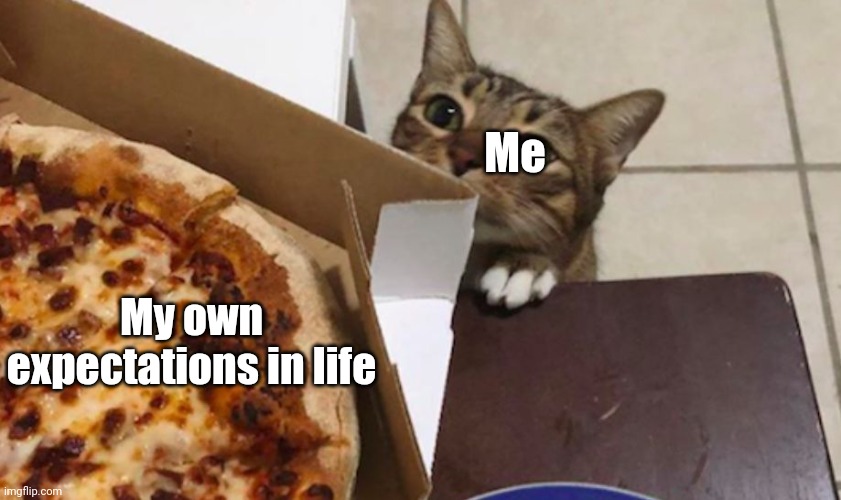 Cat wants pizza | Me; My own expectations in life | image tagged in cat wants pizza | made w/ Imgflip meme maker