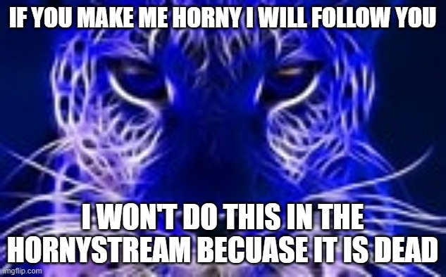 plz | IF YOU MAKE ME HORNY I WILL FOLLOW YOU; I WON'T DO THIS IN THE HORNYSTREAM BECUASE IT IS DEAD | image tagged in front page plz | made w/ Imgflip meme maker