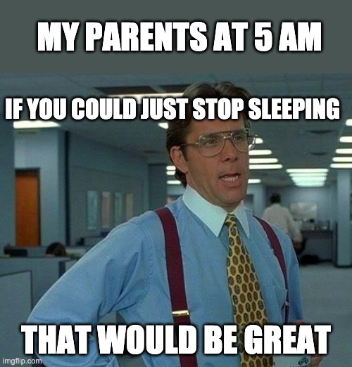 Sleeping | MY PARENTS AT 5 AM; IF YOU COULD JUST STOP SLEEPING; THAT WOULD BE GREAT | image tagged in memes,that would be great,time,funny,great,bruh | made w/ Imgflip meme maker