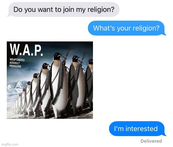 W.A.P. | image tagged in whats your religion,penguins,memes,meme,penguin,wap | made w/ Imgflip meme maker