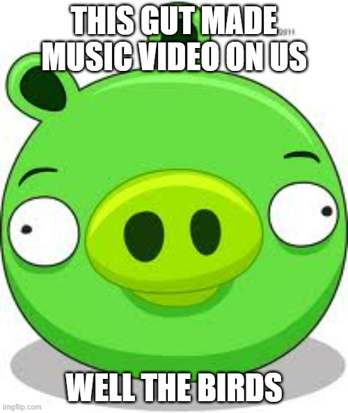 With a bunch of noises | THIS GUT MADE MUSIC VIDEO ON US; WELL THE BIRDS | image tagged in memes,angry birds pig,noise | made w/ Imgflip meme maker