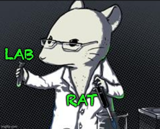 LAB RAT | made w/ Imgflip meme maker