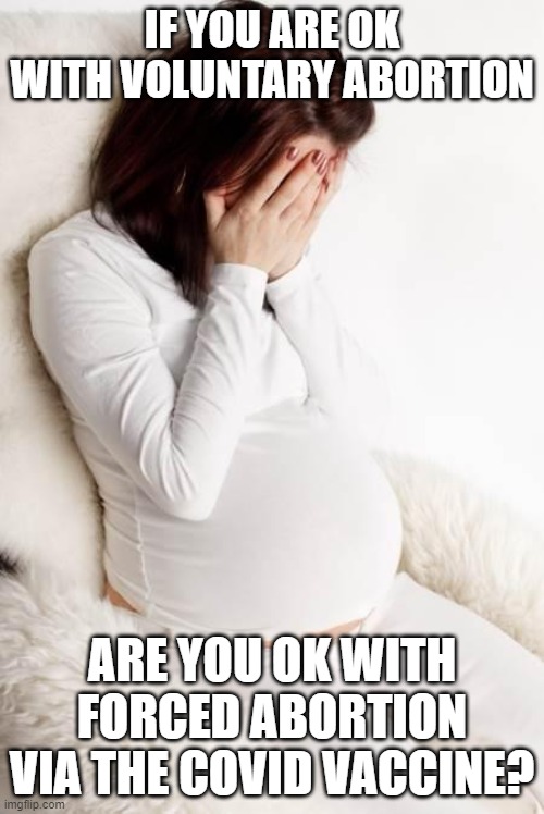 The covid vaccine is causing women to have miscarriages | IF YOU ARE OK WITH VOLUNTARY ABORTION; ARE YOU OK WITH FORCED ABORTION VIA THE COVID VACCINE? | image tagged in pregnant hormonal,covid vaccine,miscarriage | made w/ Imgflip meme maker