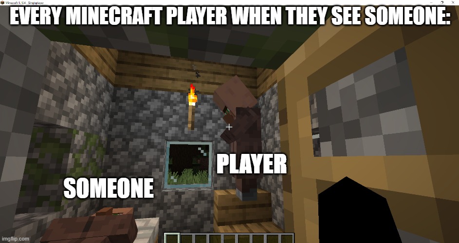 Don't Judge I'm Bored ;-; | EVERY MINECRAFT PLAYER WHEN THEY SEE SOMEONE:; PLAYER; SOMEONE | image tagged in minecraft,funny,player,funny memes | made w/ Imgflip meme maker