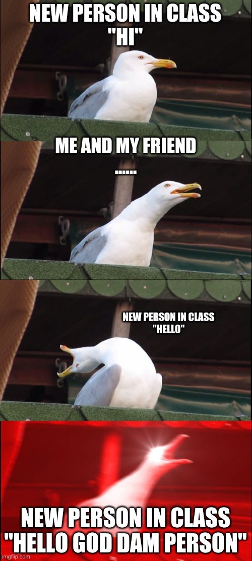 New person in school be like | NEW PERSON IN CLASS
"HI"; ME AND MY FRIEND
...... NEW PERSON IN CLASS
"HELLO"; NEW PERSON IN CLASS
"HELLO GOD DAM PERSON" | image tagged in memes,inhaling seagull | made w/ Imgflip meme maker