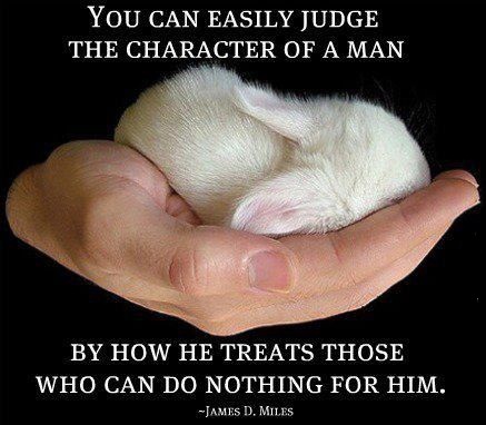 image tagged in animals,quotes