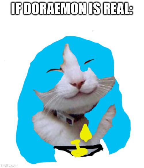 He so cute ? | IF DORAEMON IS REAL: | image tagged in i love you the meowst | made w/ Imgflip meme maker