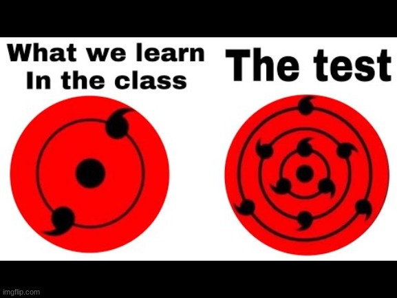 the test | image tagged in the test,test,what i learn | made w/ Imgflip meme maker